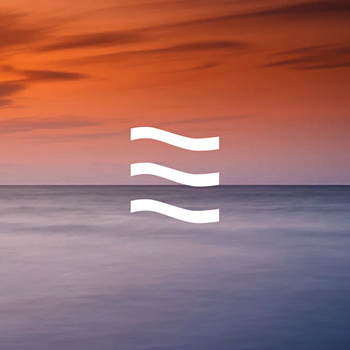 proyecto 1
                            2 - Branding