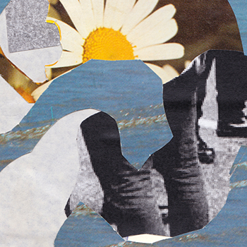 proyecto 7 - Collages